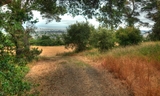 Meadow Vista Trail
