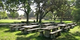 Madrone picnic tables