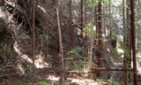 Bear Ridge trail Photo